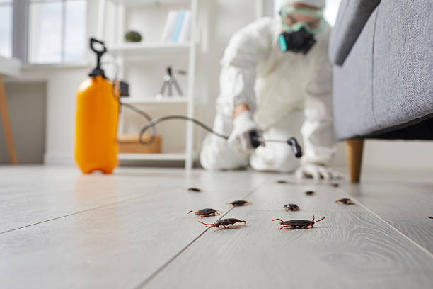 Commercial Kitchen Cockroach Control in West Buechel